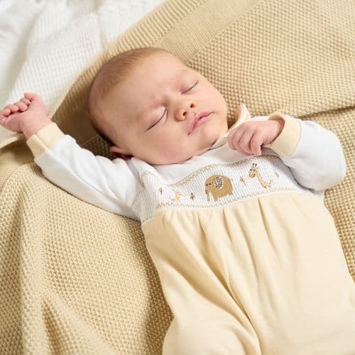 Dandelion Jungle Friends Sleepsuit