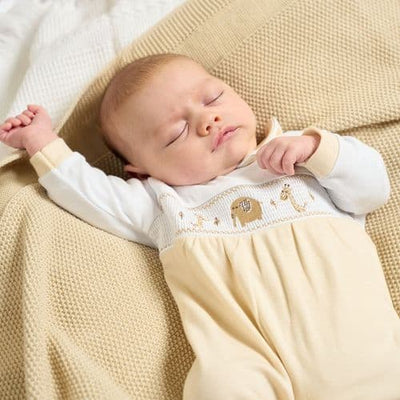 Dandelion Jungle Friends Sleepsuit