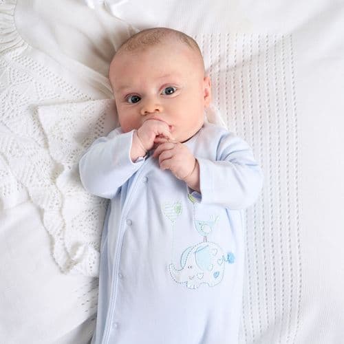 Dandelion Blue Elephant Sleepsuit